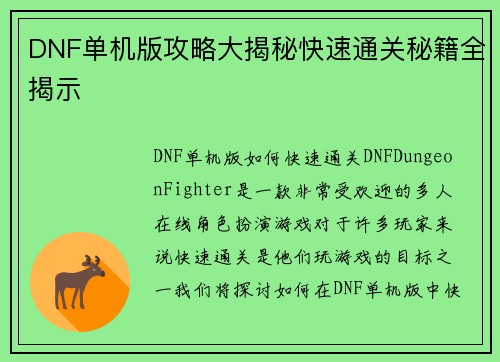 DNF单机版攻略大揭秘快速通关秘籍全揭示